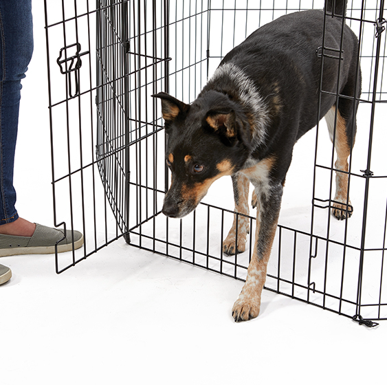 Midwest Contour Exercise Pen with Door 36