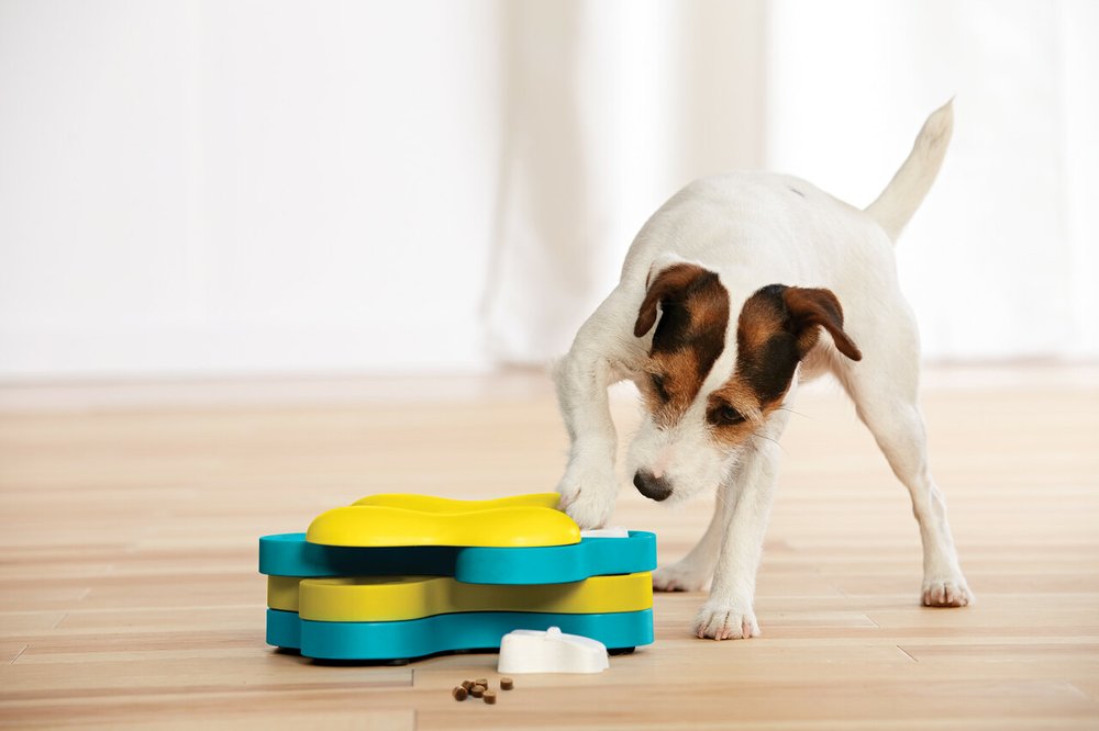 Outward Hound Puppy Tornado Puzzle Toy — Jeffrey's Natural Pet Foods