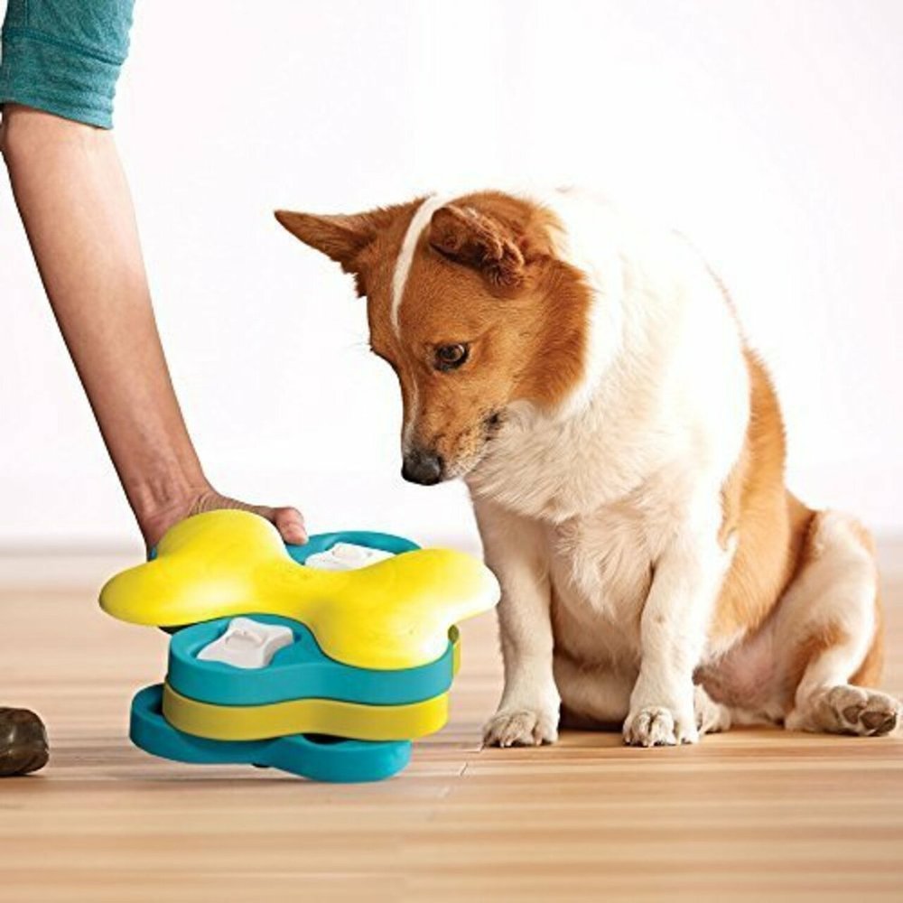Dog Puzzle Toys Squeak Toys Interactive Puzzle Game Toy for Pet Training