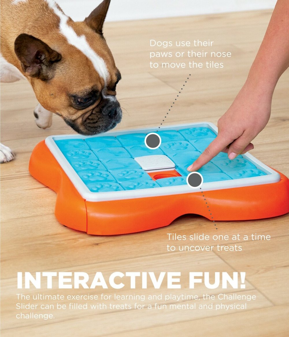 Outward Hound Nina Ottosson MultiPuzzle Interactive Dog Treat Puzzle Toy,  Expert Level