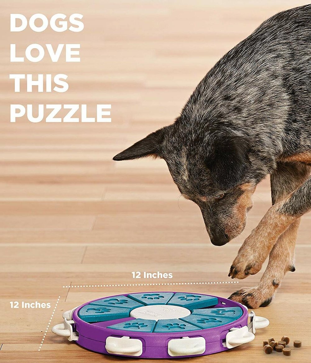 Outward Hound Challenge Slider Puzzle Toy — Jeffrey's Natural Pet Foods