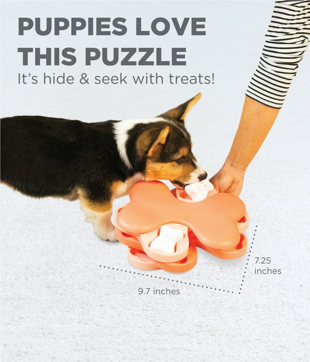 Hide'n'Treat Puzzle Toys, They're Like Legos for Dogs! - HoundGames