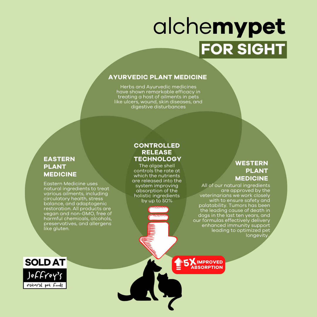 Alchemy Pet - For Sight p3.png