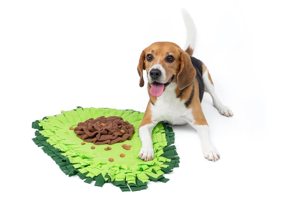 Breakfast Platter Snuffle Dog Toy