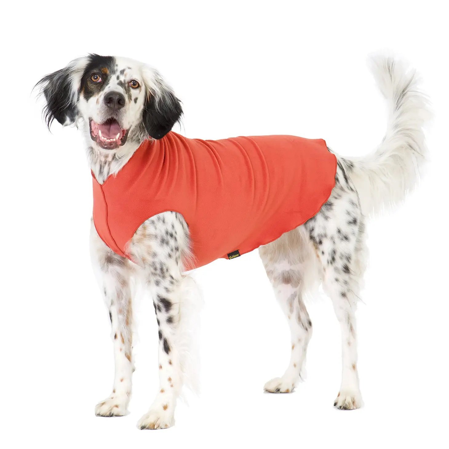 GoldPaw Stretch Fleece Paprika
