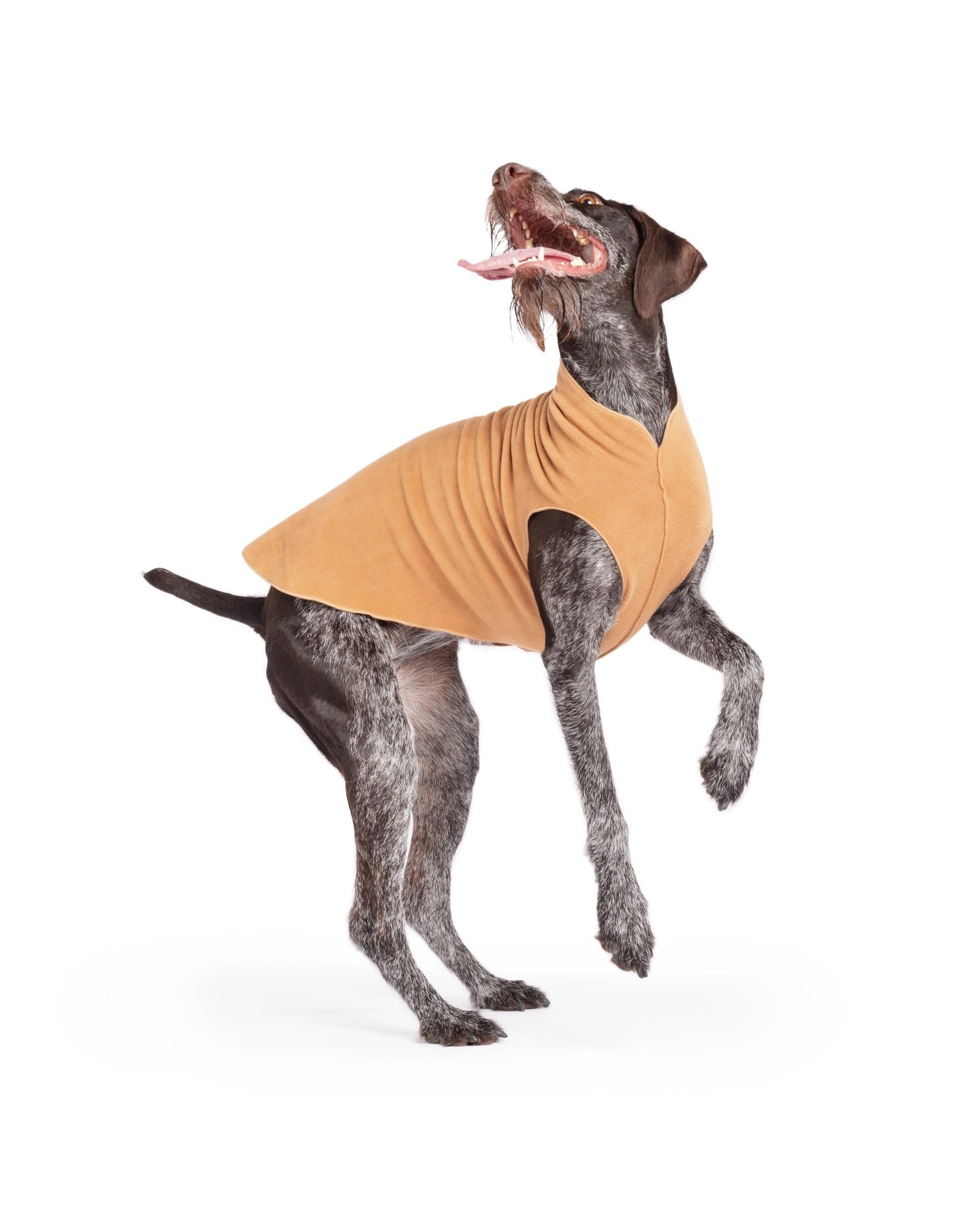 GoldPaw Stretch Fleece Chipmunk