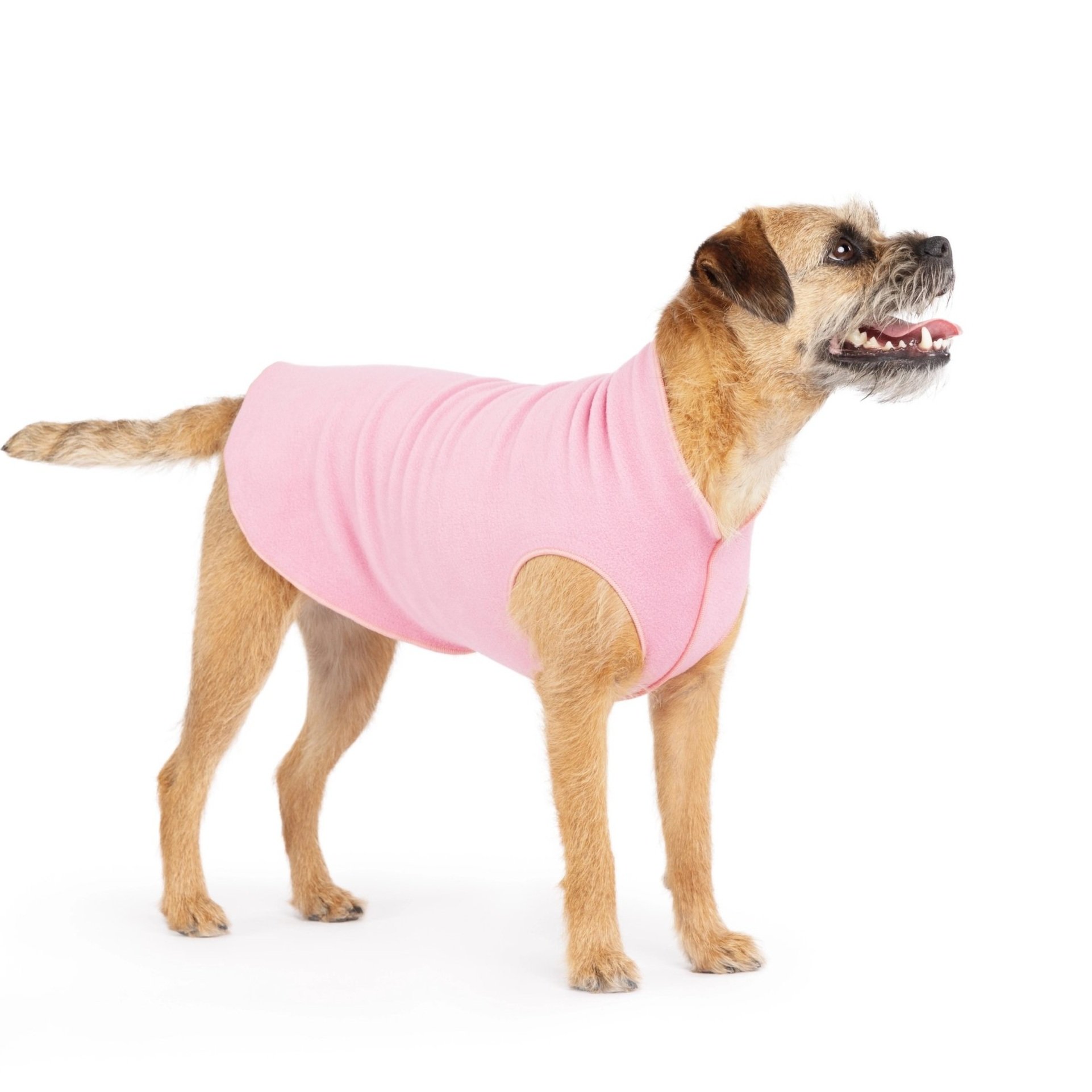 GoldPaw Stretch Fleece Rose
