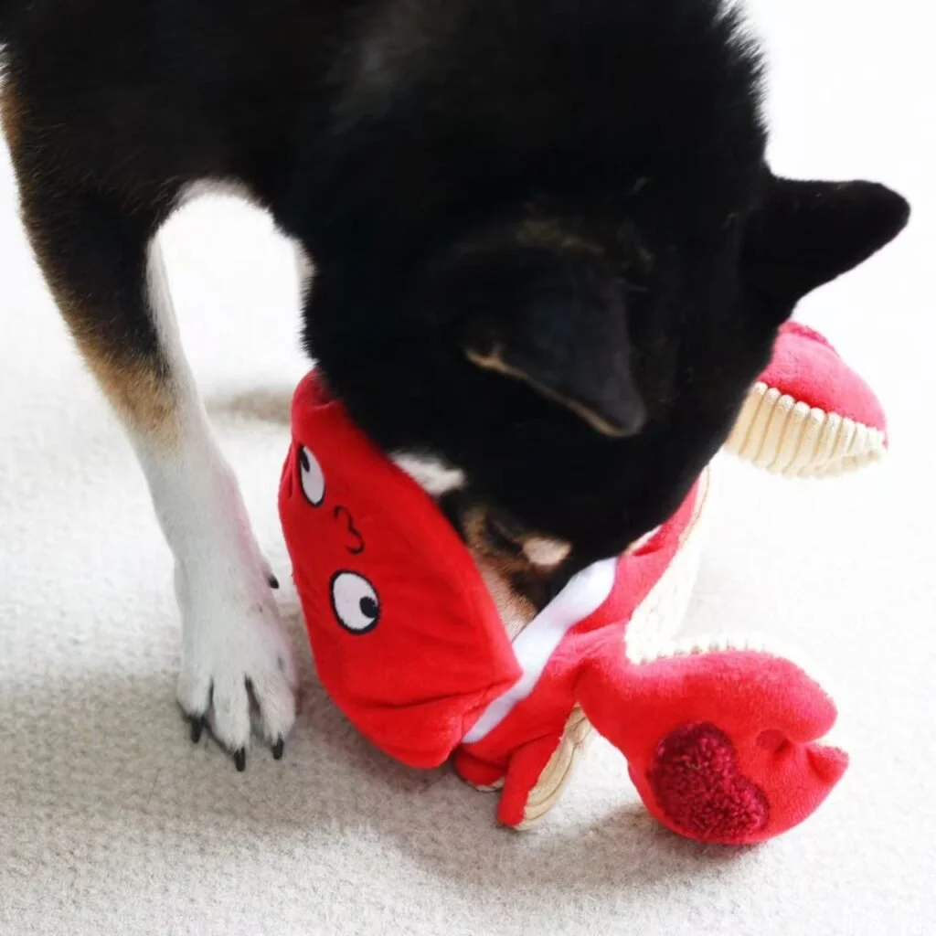 Crab 57461732185417_.pic_-1024x1024.jpeg
