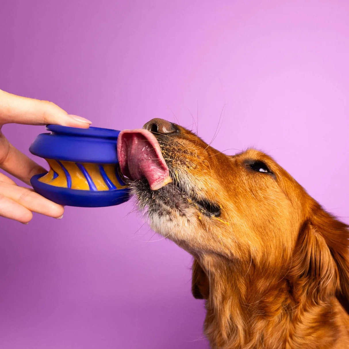Waglab_Playstack_OnFigure_Slobber_1_Sq_59205982-48e0-470f-b825-d75a0b426f02.jpeg