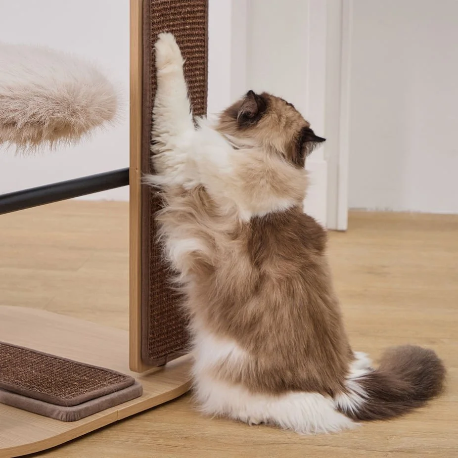 Petpals Starbz 4 Level Cat Tree 3.jpeg