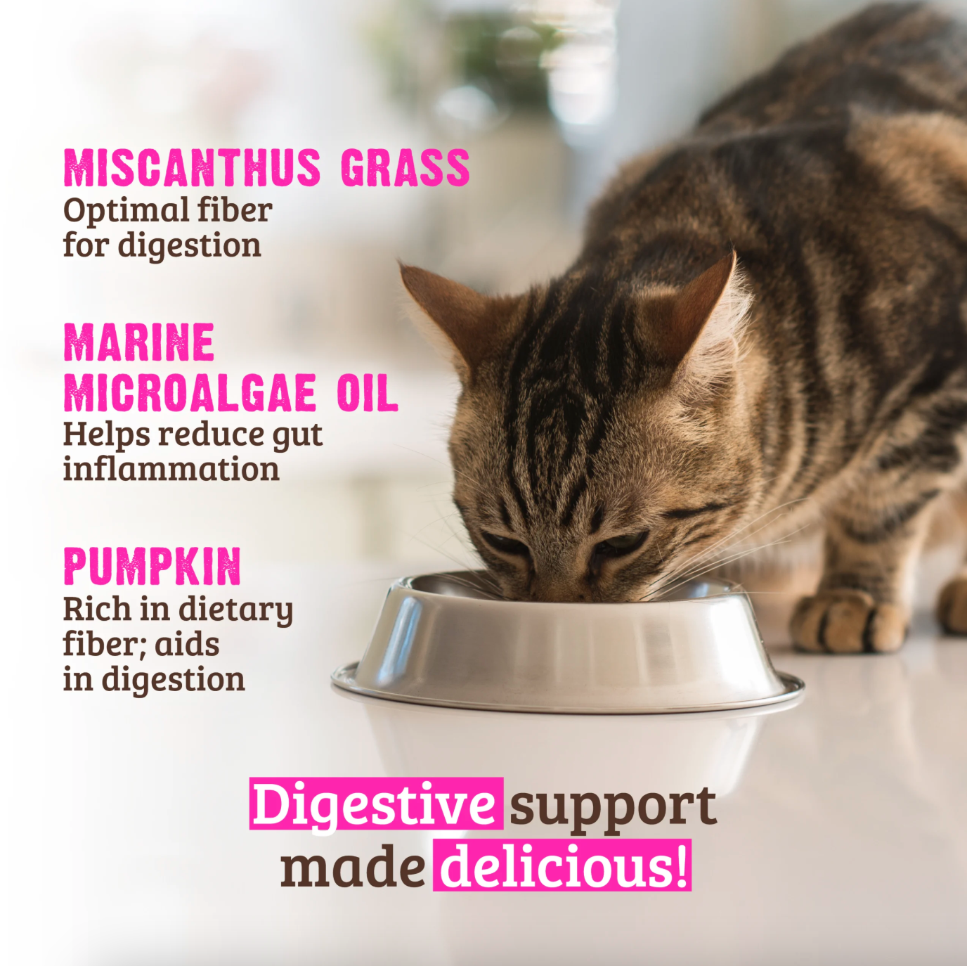 Rawz CC Digestive Support.png