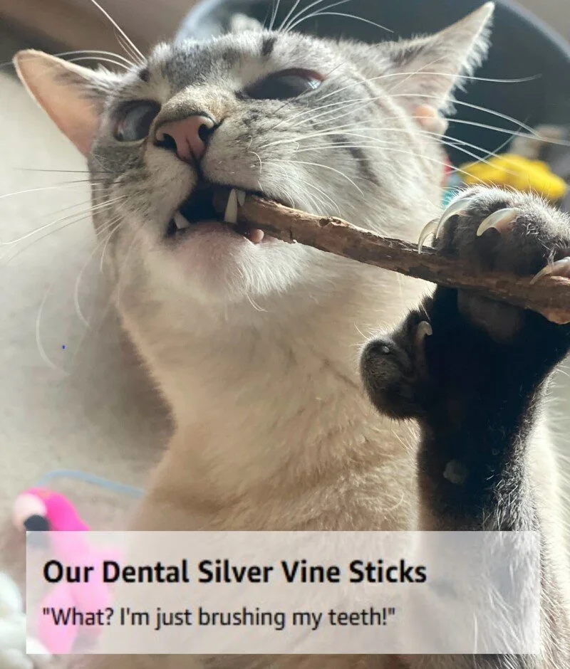 Silver-Vine-Dental-Sticks.jpeg