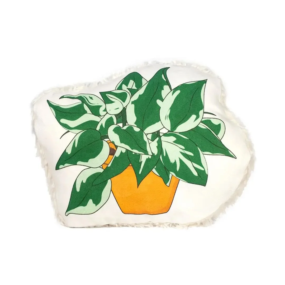 Dirt and Dog Hair Pothos Plant