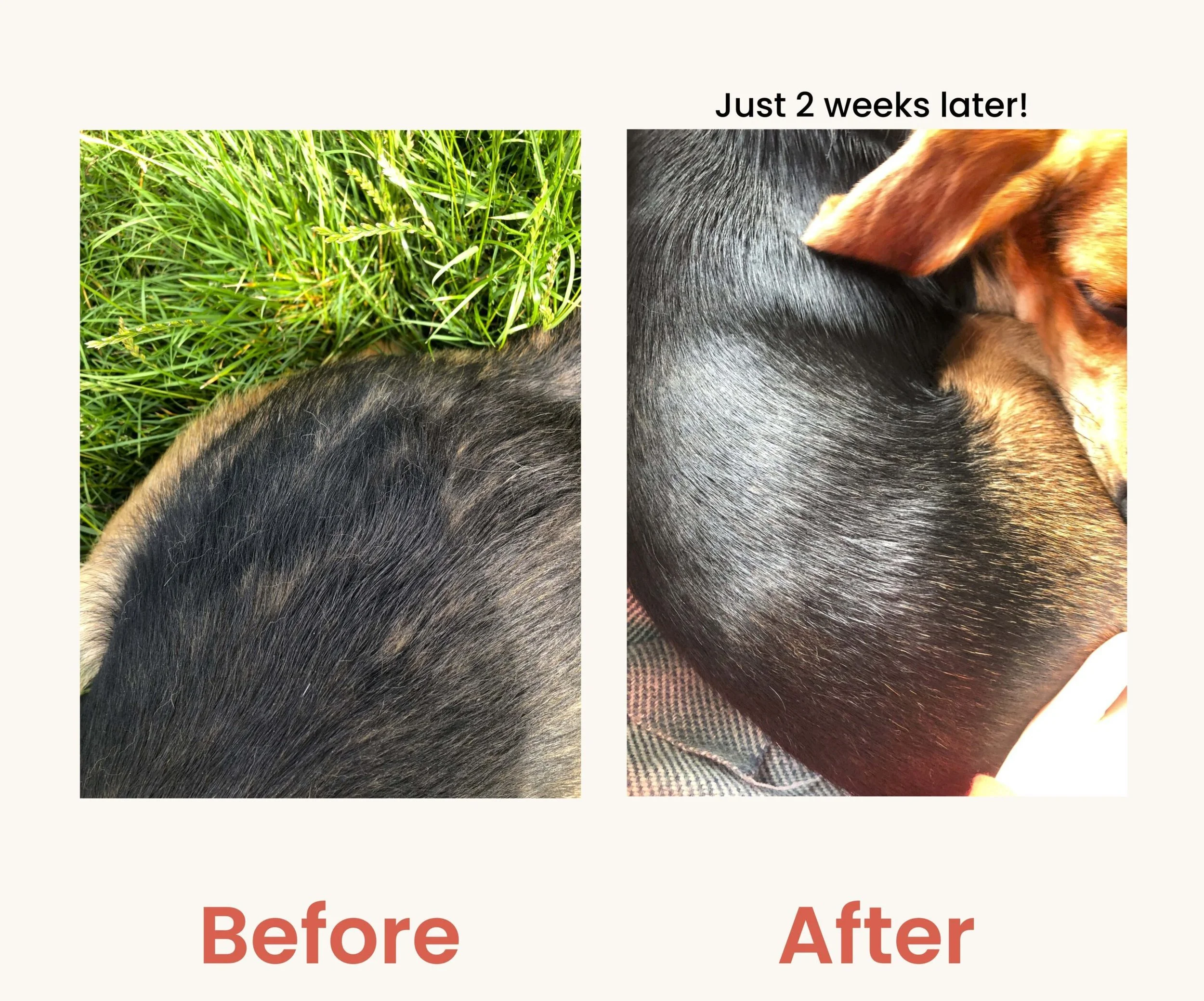 Before_And_After_2-min-scaled.jpeg