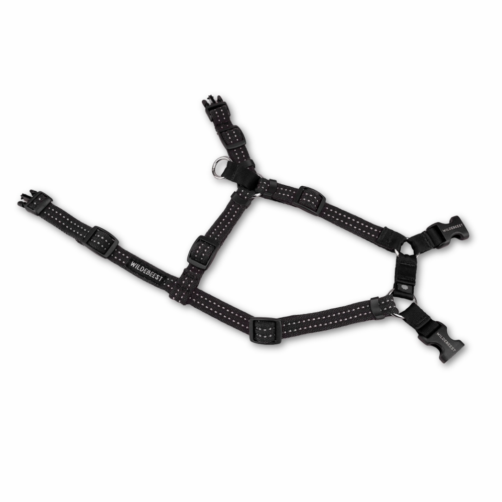 Wildebeest Valencia No-Pull Harness Black — Jeffrey's Natural Pet