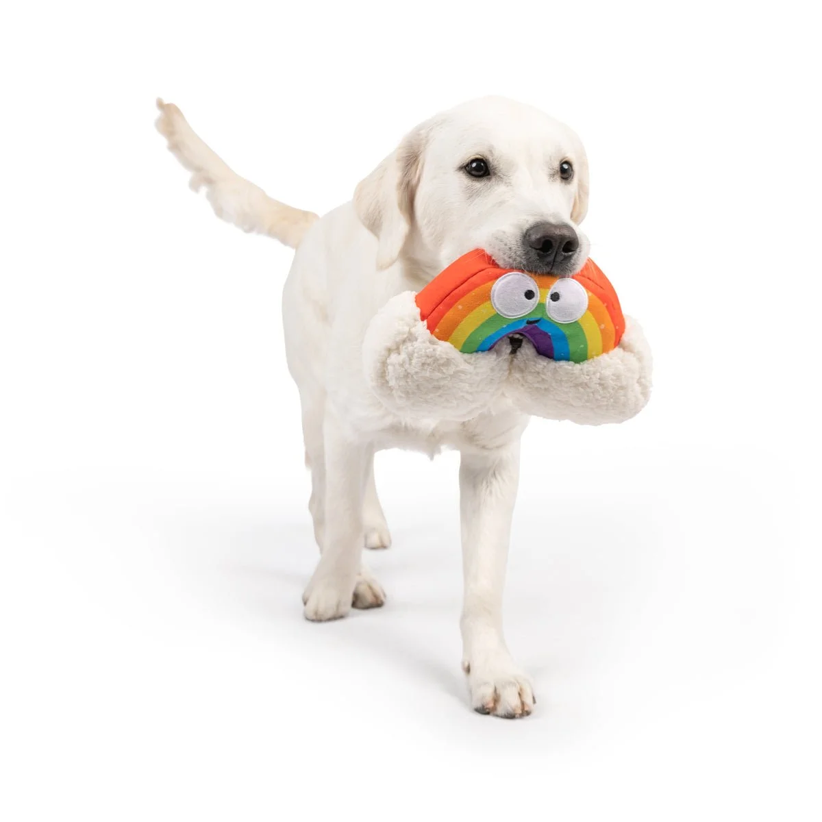 Happy_Rainbow_1_1200x.jpeg