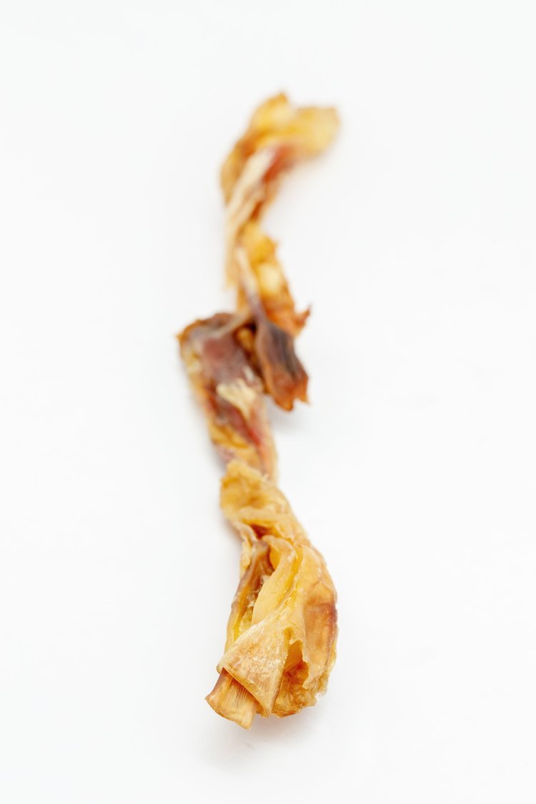 Jeffrey's XL Tendon 03.jpg
