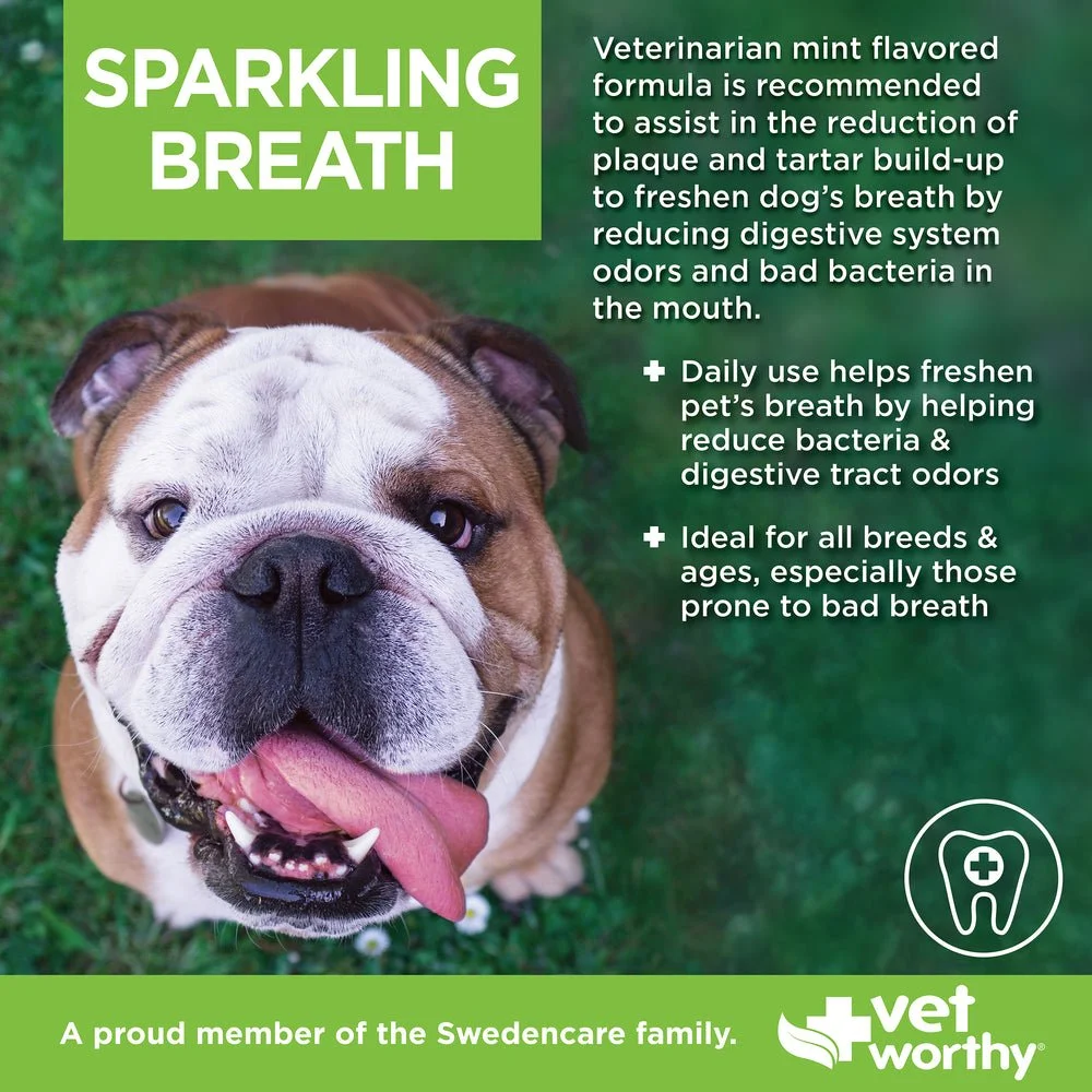 106650_VW_SparklingBreath16oz_ImageStack_03_090925.jpeg