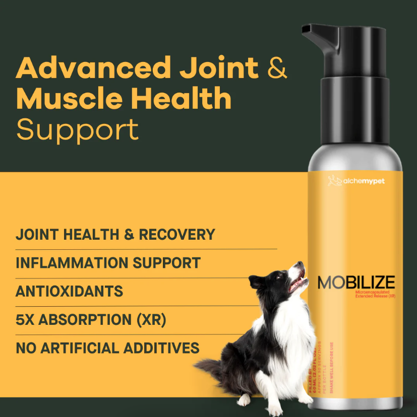 AlchemyPet SU Mobilize 01.png