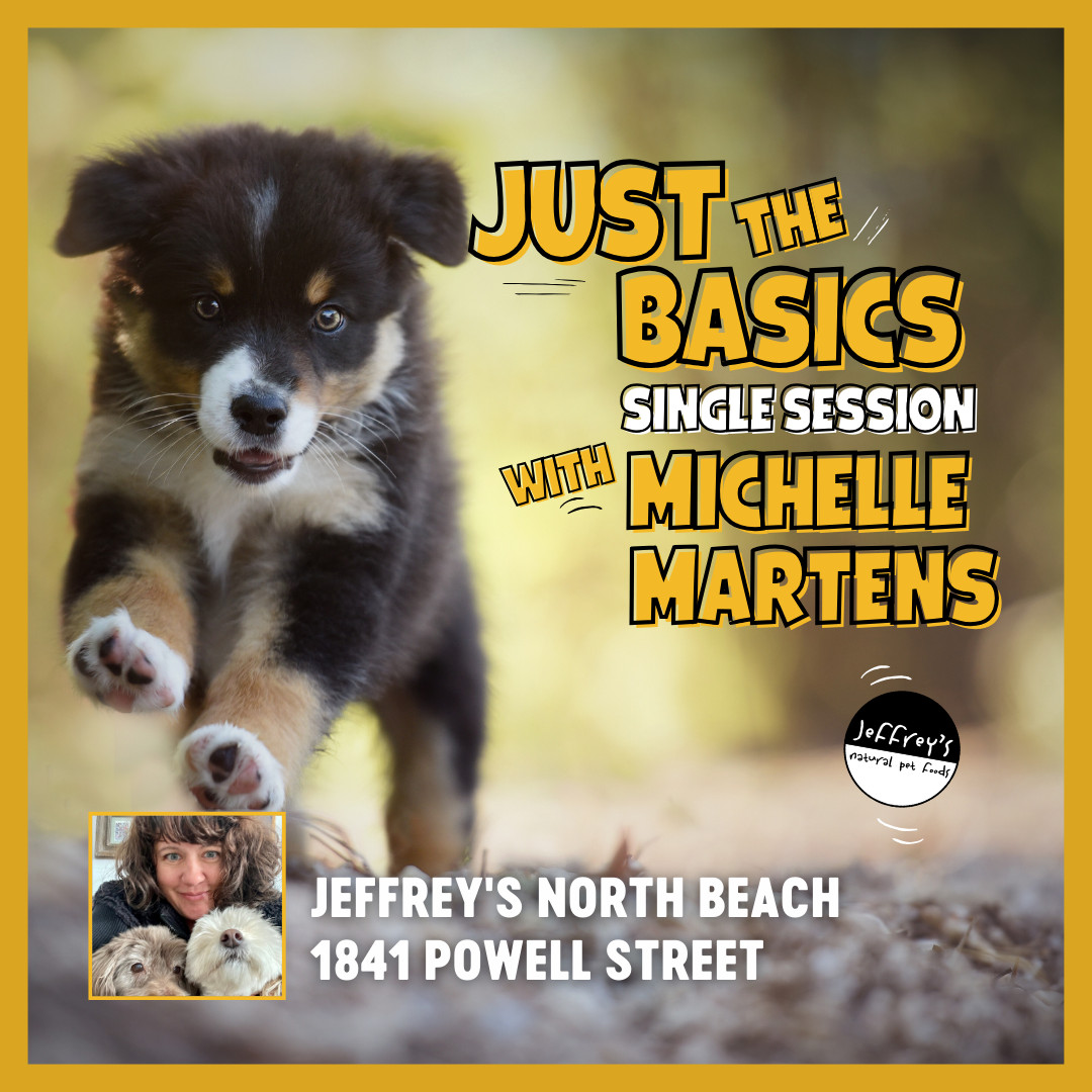 Just the Basics Summer Class for Young Puppies with Michelle Martens at Jeffrey's North Beach (1 Session)