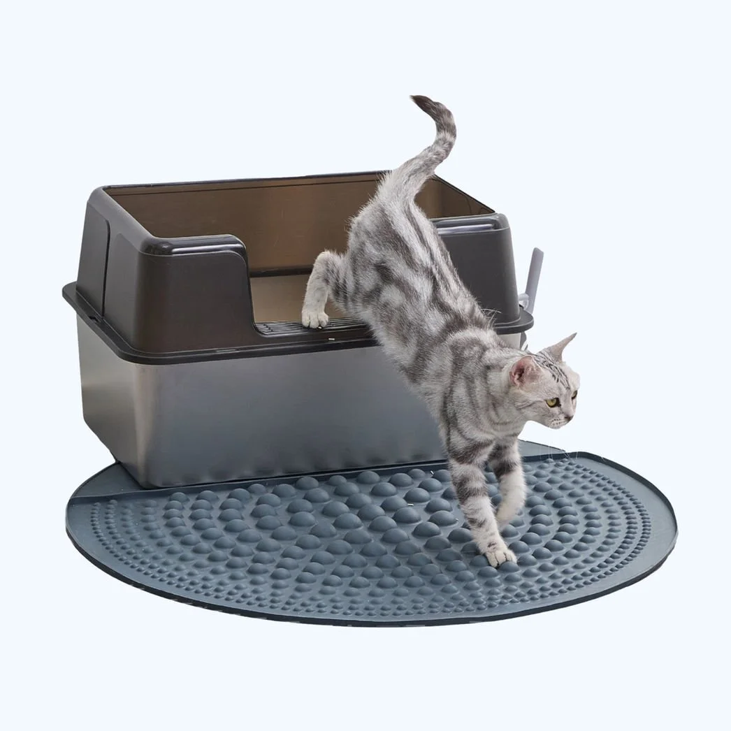 Petpals Air Bubble Paw Scrub 5.jpeg