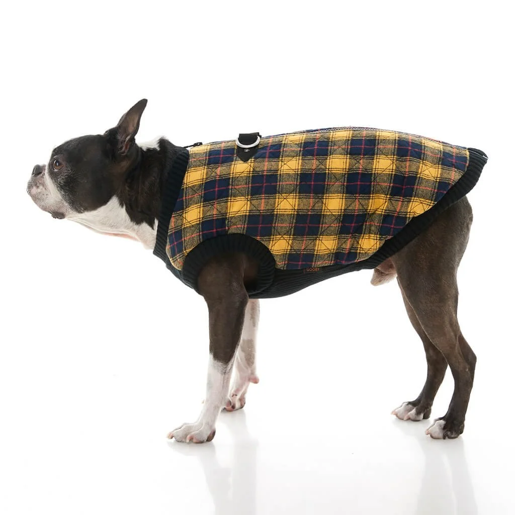 gooby-office-dog-miles-a-boston-terrier-wearing-yellow-checkered-fashion-vest-standing-up-side-view-1024x1024px.jpeg