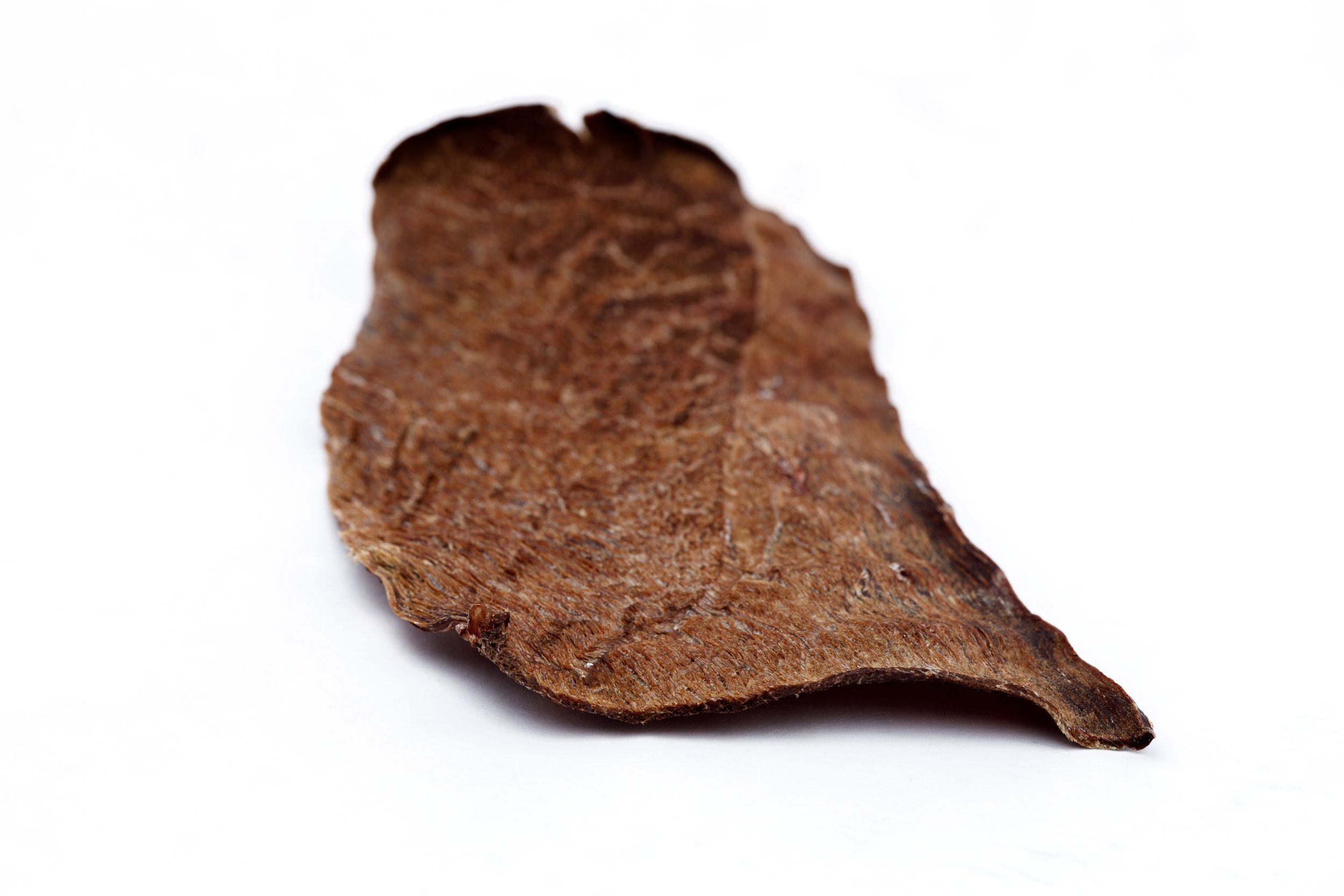 Jeffreys Beef Jerky Detail.jpg
