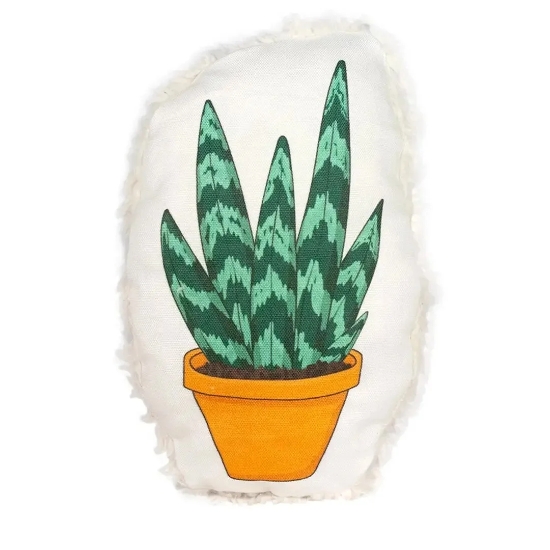 Dirt and Dog Hair Snake Plant