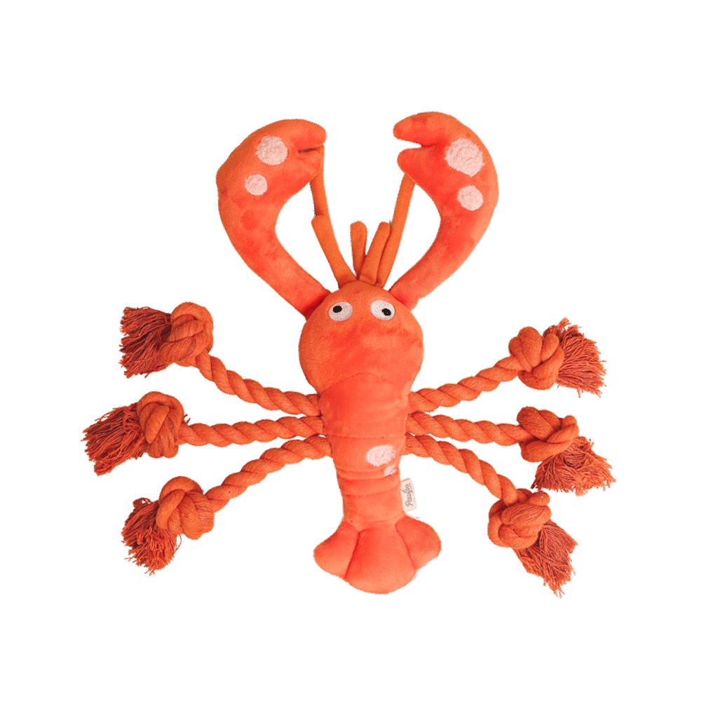 Lobster 3-1-1024x1024.png