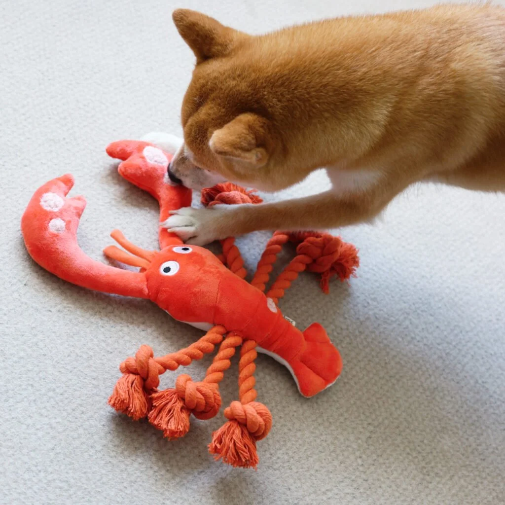 Lobster IMG_1862-1024x1024.jpeg
