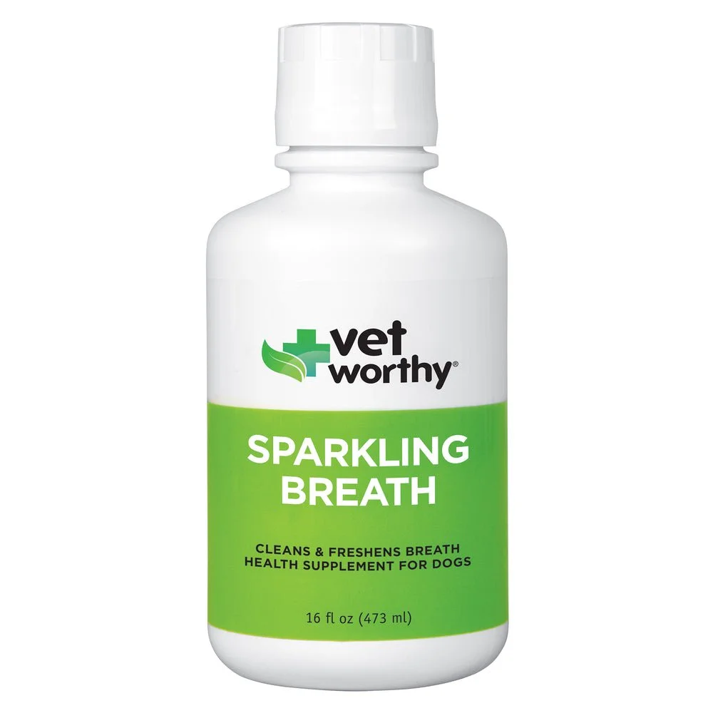106650_VW_SparklingBreath16oz_ImageStack_01_091325.jpeg