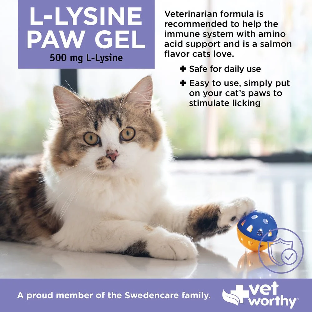 103280_VW_LysinePawGelFeline3oz_ImageStack_03_092325_1324b87f-887f-4787-9634-8952b7ec4bcf.jpeg