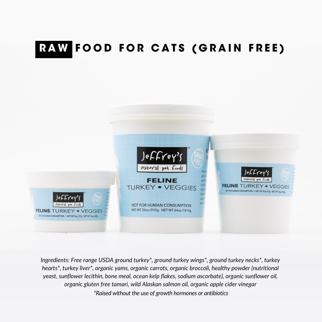 Jeffrey's Natural Pet Foods - Feline Turkey Veggie.png