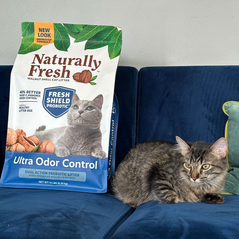 NF_new-ultra-odor-cat-with-bag-on-couch_800x800.jpeg
