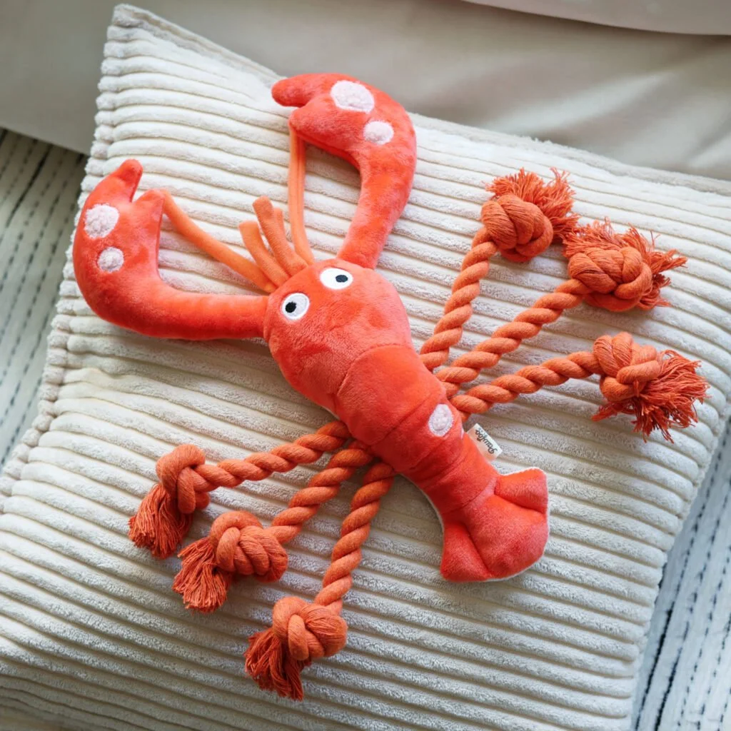 Lobster IMG_1854-1024x1024.jpeg