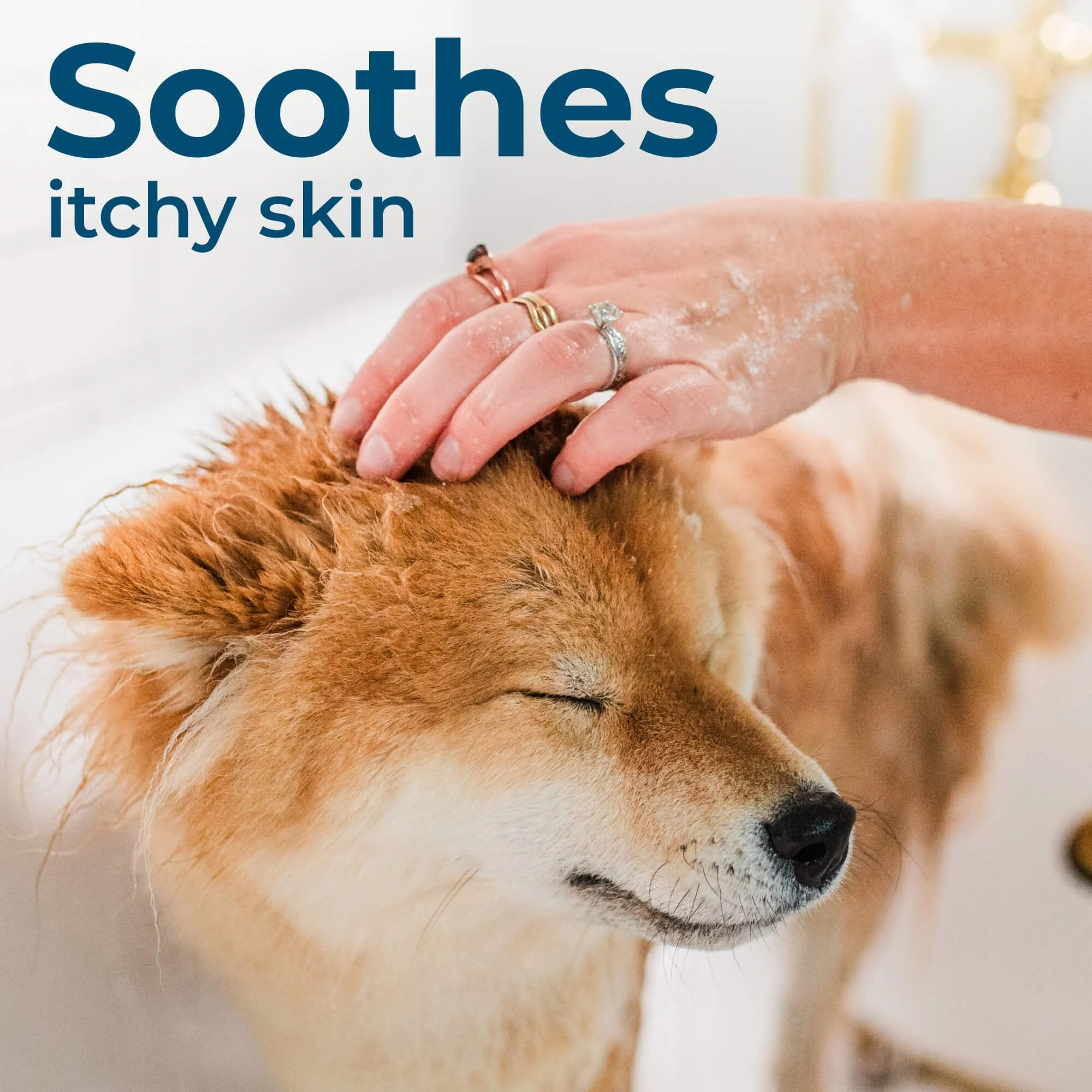 Shampoo-Secondary4.jpeg