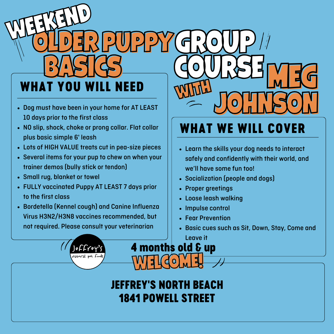 TRAINING COURSES - WEBSITE - SHARED.png