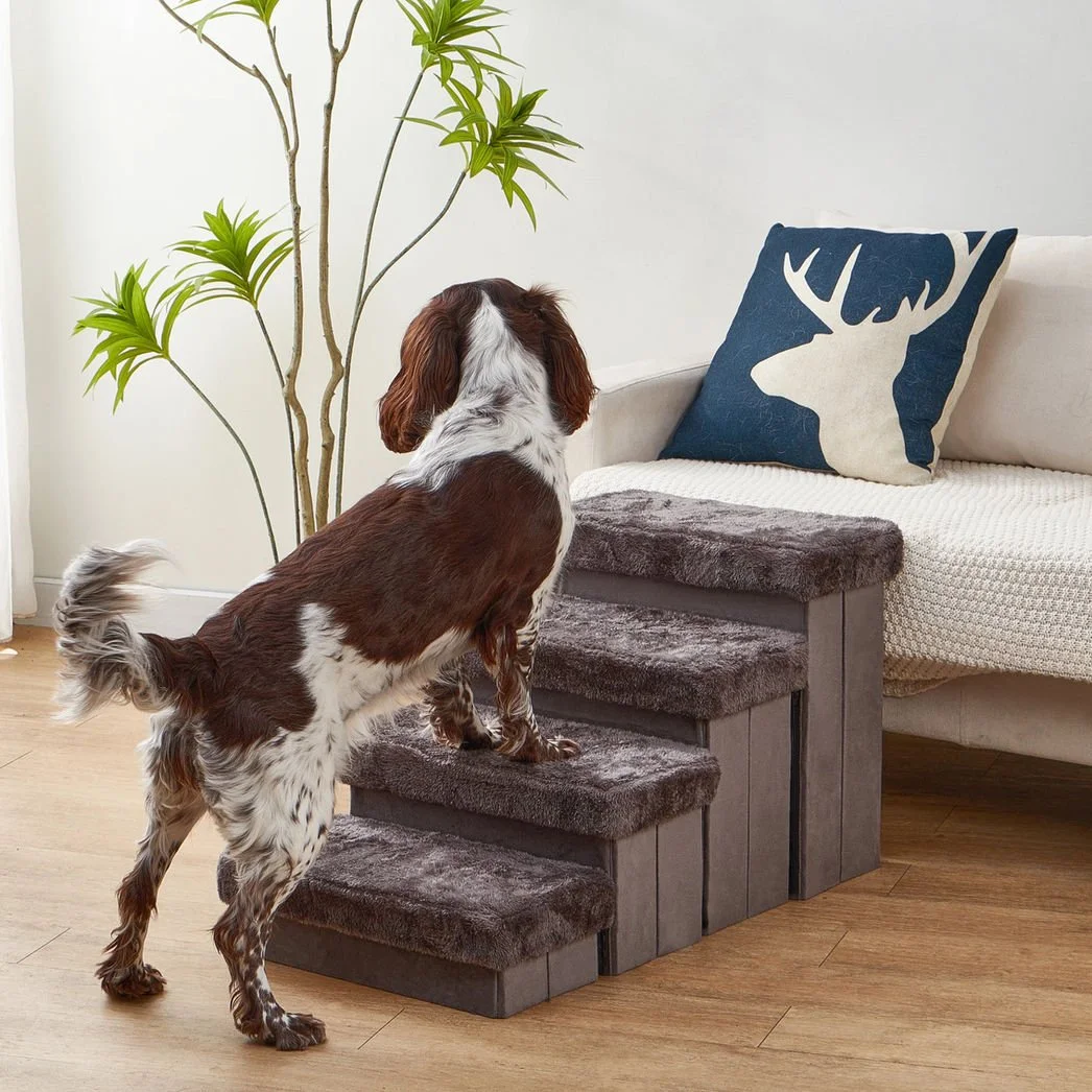 Petpals Charcoal Stairs 3.jpeg