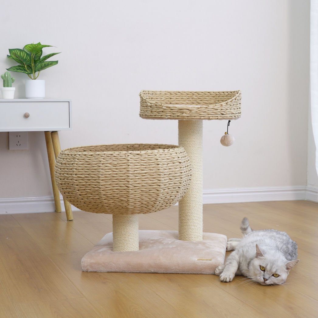 Petpals Cozy V 2 Level Cat Tree 4.jpeg