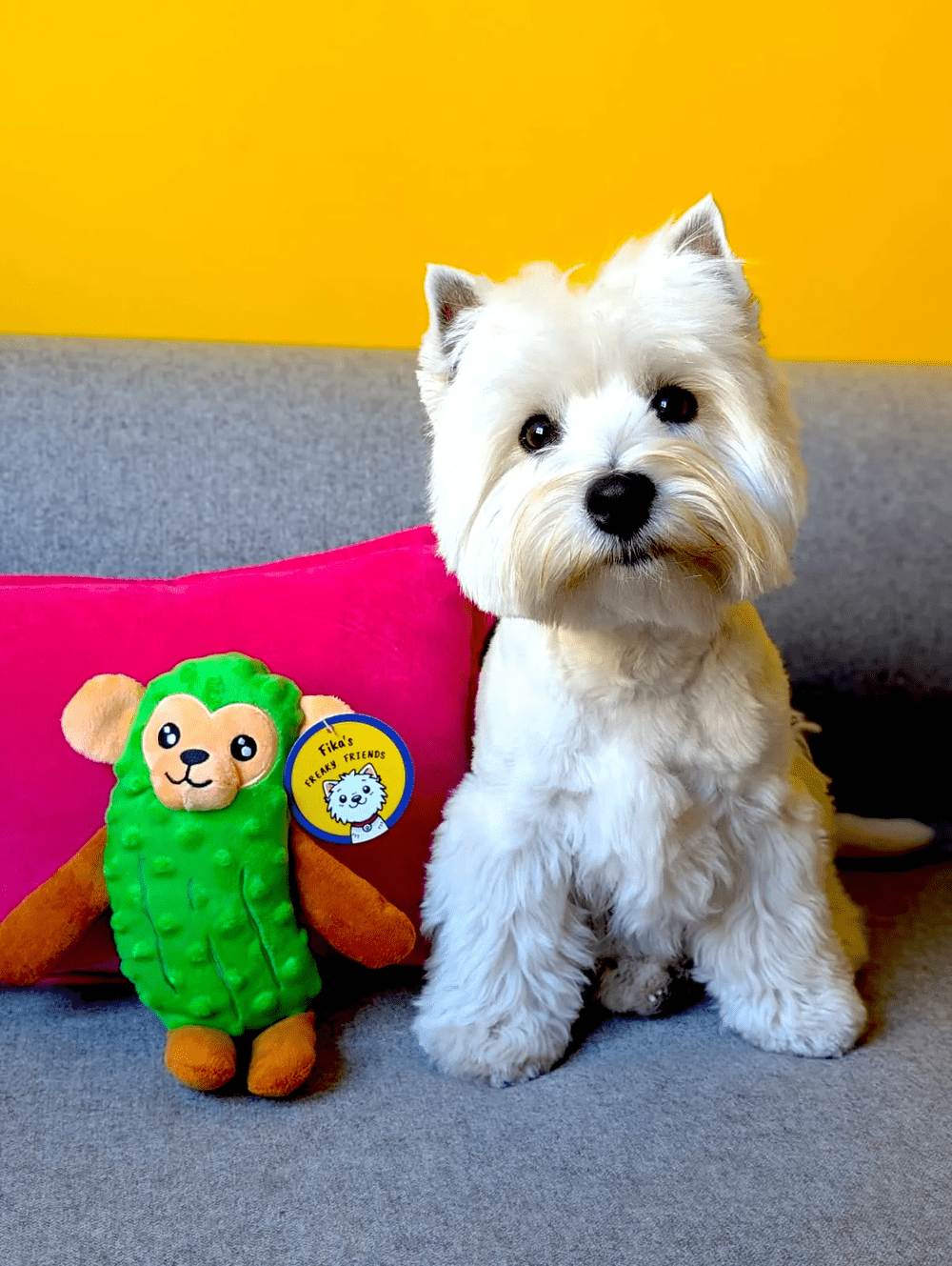 Fika's Freaky Friends Pickle Monkey — Jeffrey's Natural Pet Foods