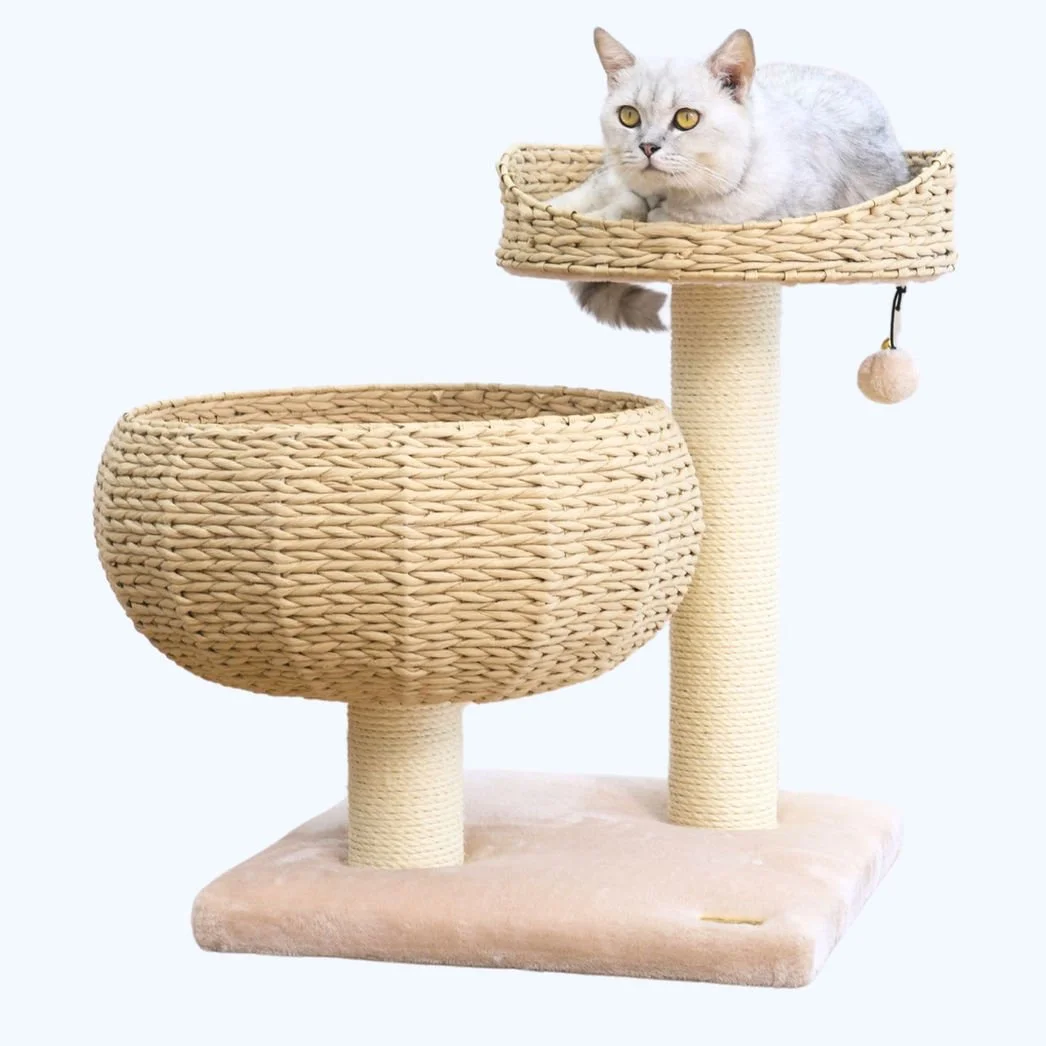 Petpals Cozy V 2 Level Cat Tree 7.jpeg