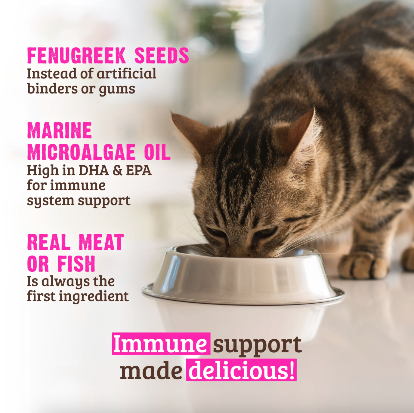Rawz CC Immune Support.png (Copy) (Copy)