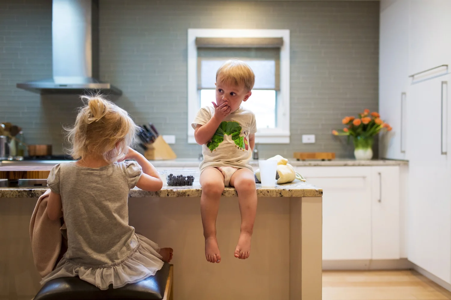 Private Residence Photo: Dana Romanoff Photography