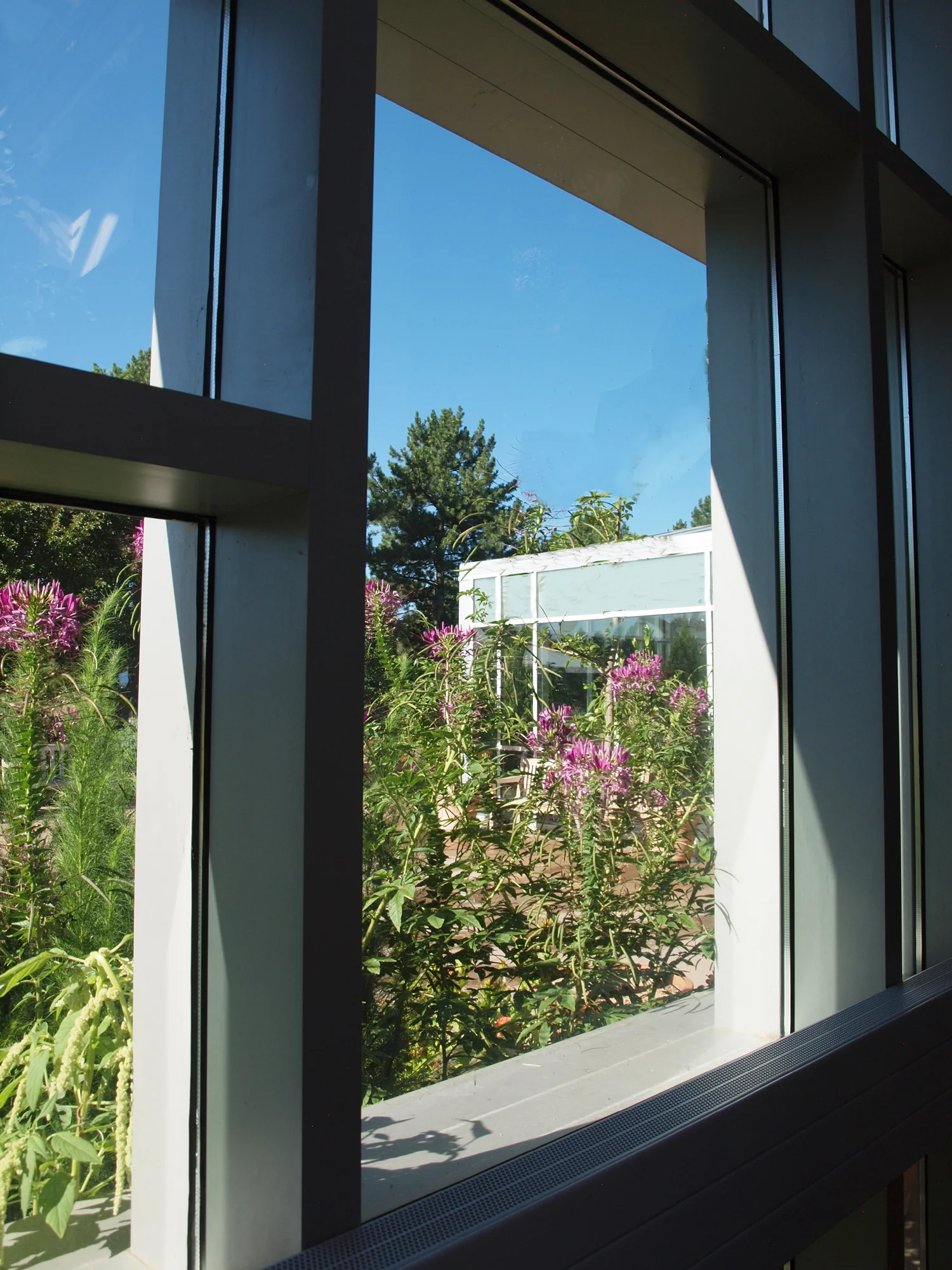 Denver Botanic Gardens, Tryba Architects (prior to establishing Janco Designs) Photo: Janco Designs