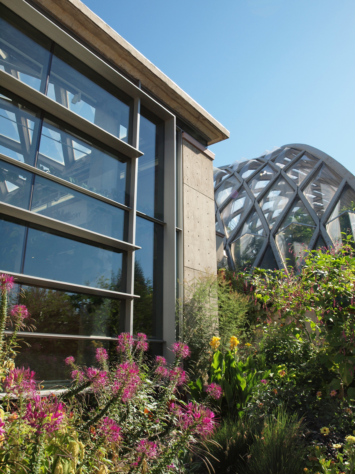 Denver Botanic Gardens, Tryba Architects (prior to establishing Janco Designs) Photo: Janco Designs