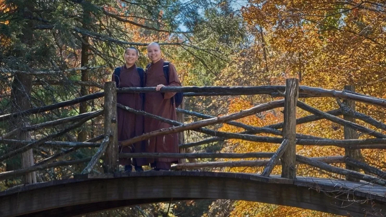 Sister's Bridge.jpg