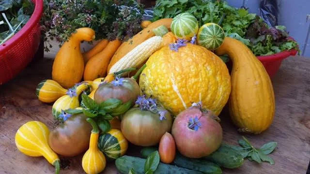 vegetables.jpg
