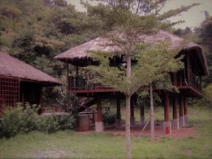 Thai_PV.jpg