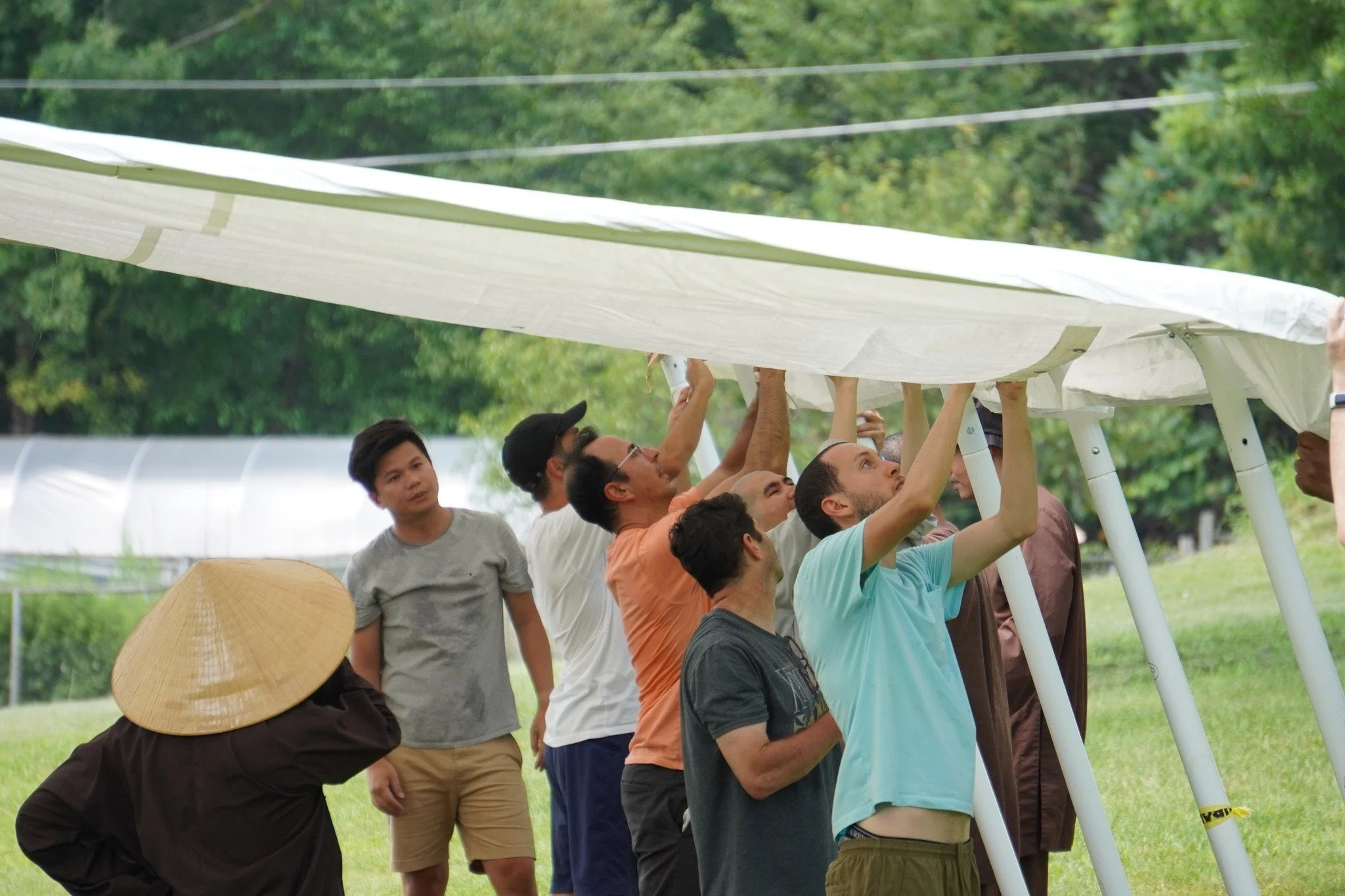 Summer+2023+work+on+canopy2.jpg
