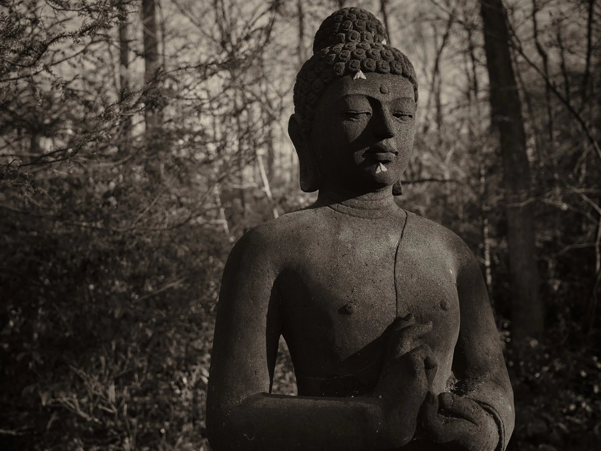 ash buddha B W.jpg